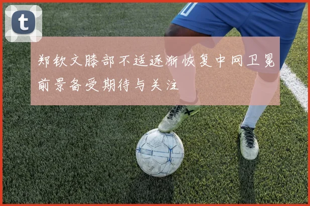 郑钦文膝部不适逐渐恢复中网卫冕前景备受期待与关注