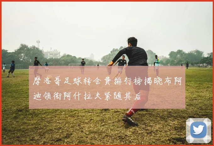 摩洛哥足球转会费排行榜揭晓布阿迪领衔阿什拉夫紧随其后