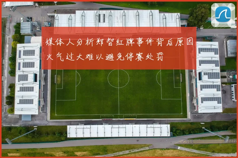 媒体人分析郑智红牌事件背后原因火气过大难以避免停赛处罚