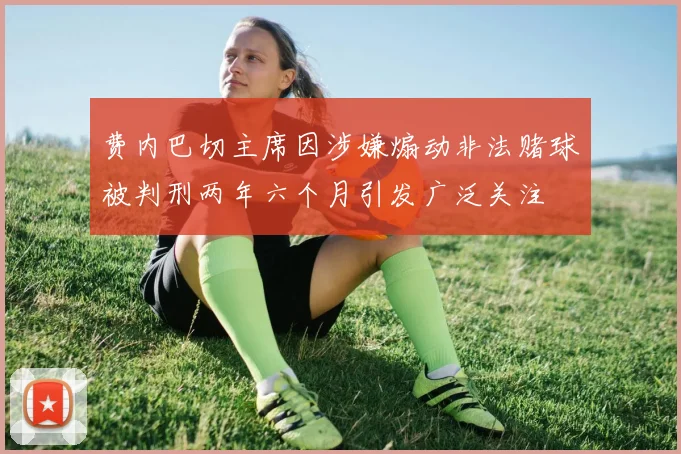 费内巴切主席因涉嫌煽动非法赌球被判刑两年六个月引发广泛关注